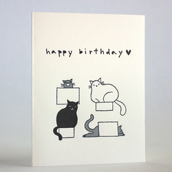 Cat Boxes Birthday Greeting Card