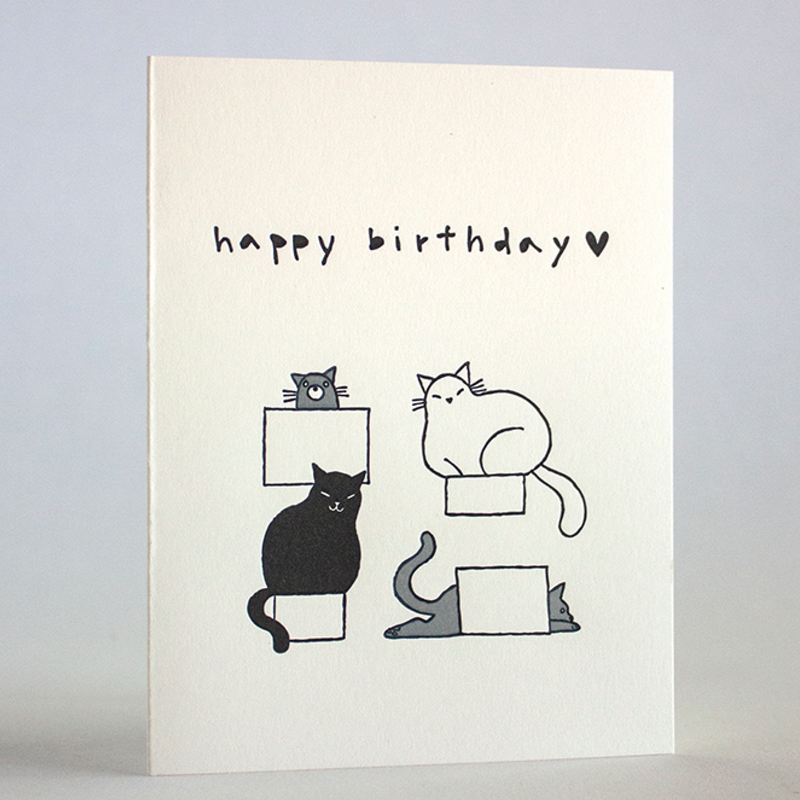 Cat Boxes Birthday Greeting Card