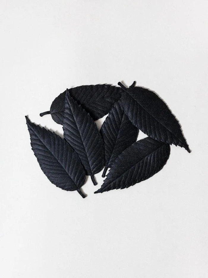 Black leaf-shaped paper incense on a light gray background

HA KO Paper Incense Gift Box Set of 6. Black No. 1 Relax Scents Home Fragrance Decor Made in Japan Shop SoWa Boston boutique