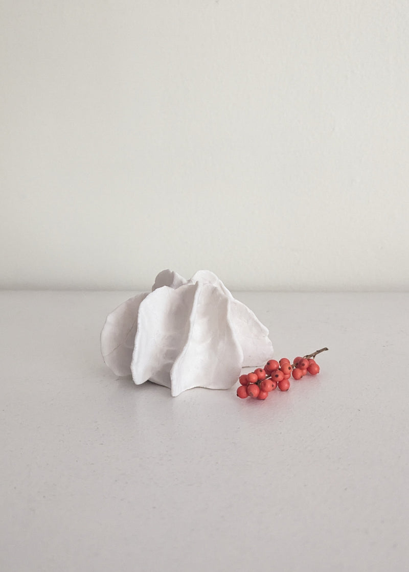 Porcelain Vessels and Sea Urchin