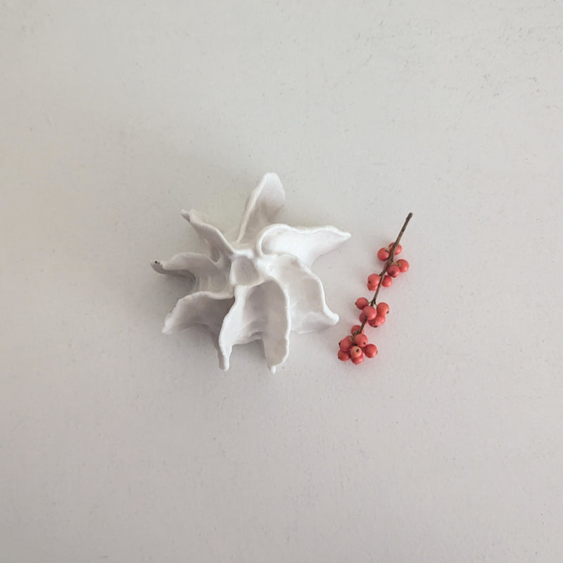 Porcelain Vessels and Sea Urchin