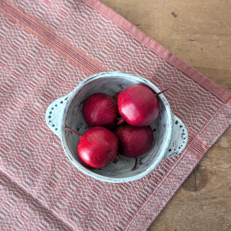 Red radishes in a white ceramic bowl on a textured red and beige tablecloth.