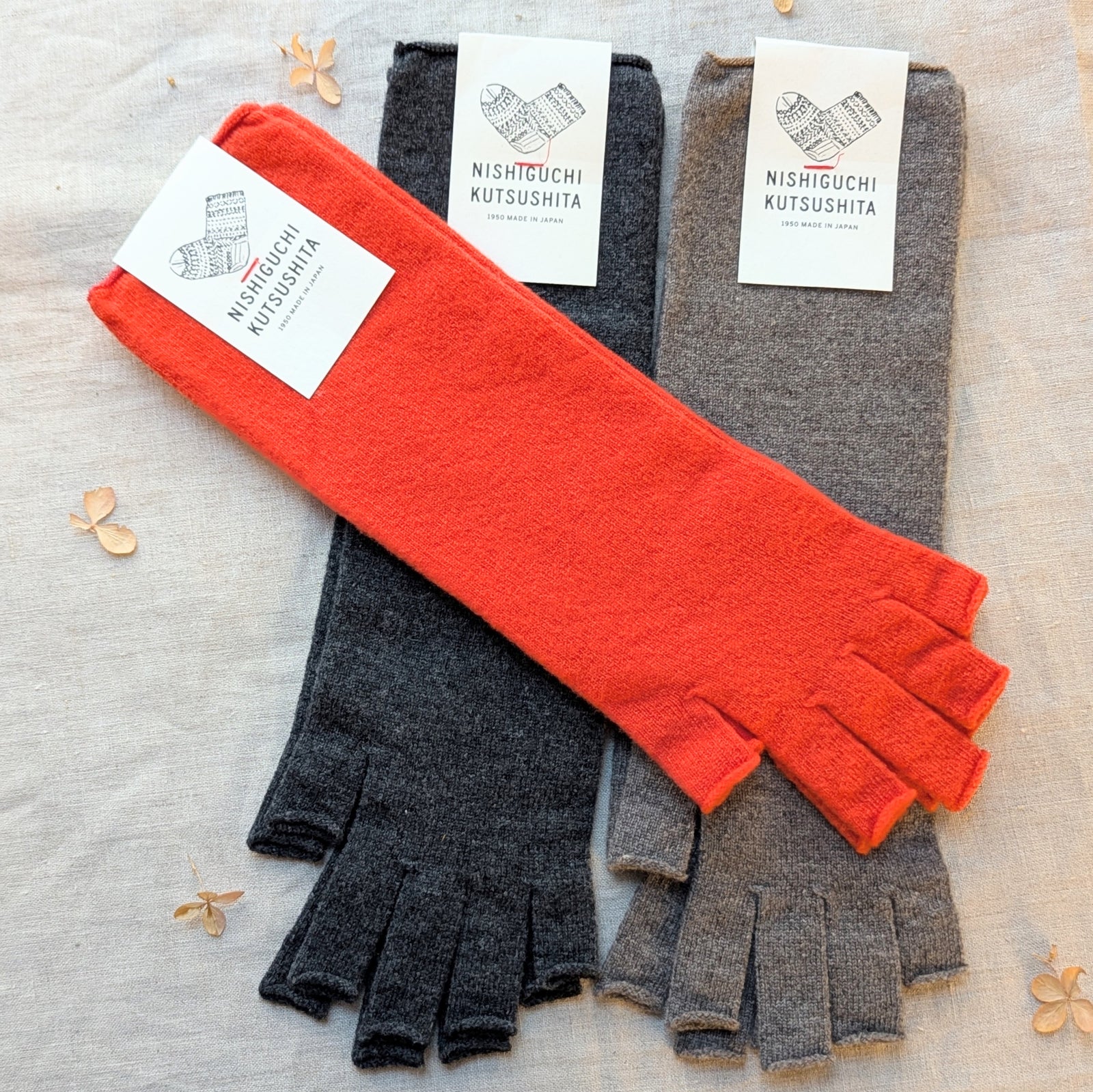 PXL_20251201_193543143.