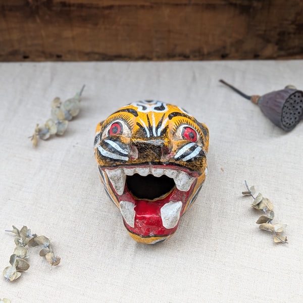 front view of jaguar wooden mask on neutral background