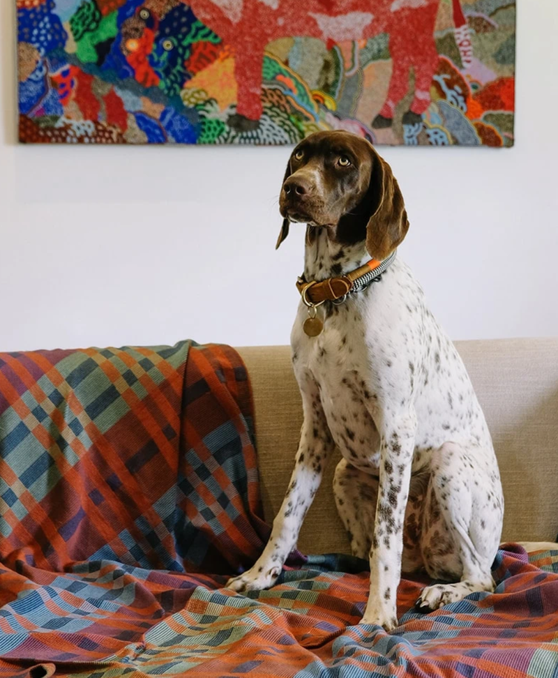 Fido Throw Blanket - Toto