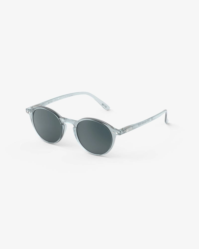 Sunglasses (D)