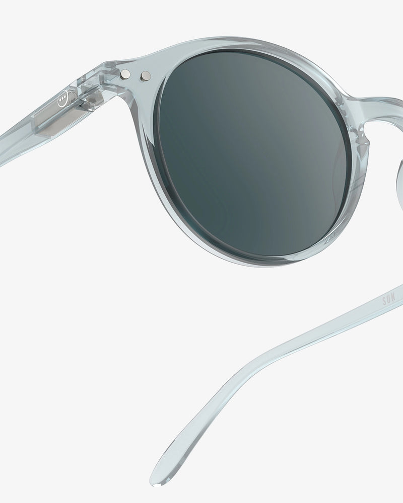 Sunglasses (D)