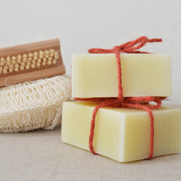 Trillium all natural shampoo bar