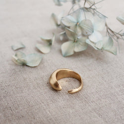 Julie Cohn Caviar bronze adjustable ring. Shop Boston