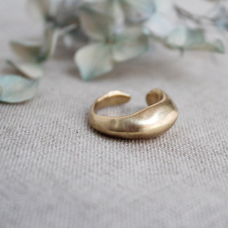 Julie Cohn Caviar bronze adjustable ring. Shop Boston